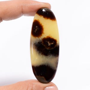 Pietra preziosa sciolta cabochon ovale settario naturale per la creazione di gioielli, peso 63 carati, dimensioni 60X23X5 mm