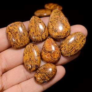 Natürliche Mariam Jaspis Cabochon Lose Edelstein 10 Stück Lot für die Herstellung von Schmuck Gewicht 158 Karat Größe 19X13 27 x 18 mm