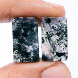 Cabochon de forme rayonnante en agate mousse naturelle, paire de pierres précieuses en vrac pour la fabrication de boucles d'oreilles, poids 17 carats, taille 19X10X2 mm