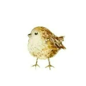 Impresión acrílica de un lindo reyezuelo, impresión artística de un lindo pájaro para guardería, arte de pared de un pájaro reyezuelo