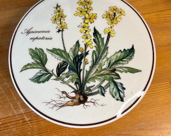 May include: A round, white ceramic lid with a brown rim. The lid features a botanical illustration of a plant with yellow flowers, green leaves, and the text "Agrimonia eupatoria".