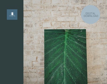 Printable Art - Printable Wall Art - Leaves Poster Print - Nature Art Prints / Green Poster Prints / Leaf Art Prints / Forest Art / Leaf