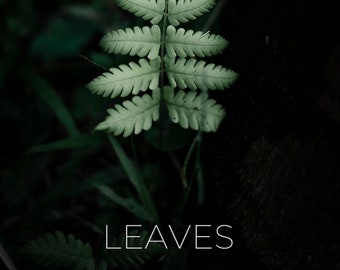 Printable Art - Printable Wall Art - Leaves Poster Print - Nature Art Prints / Green Poster Prints / Leaf Art Prints / Forest Art / Leaf