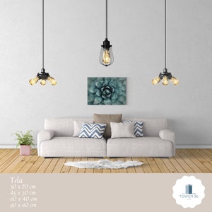 Print on canvas - Agave parryi Engelm - 30x20 - 45x30 - 60x40 - 90x60