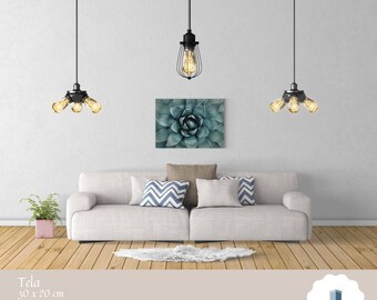 Print on canvas - Agave parryi Engelm - 30x20 - 45x30 - 60x40 - 90x60