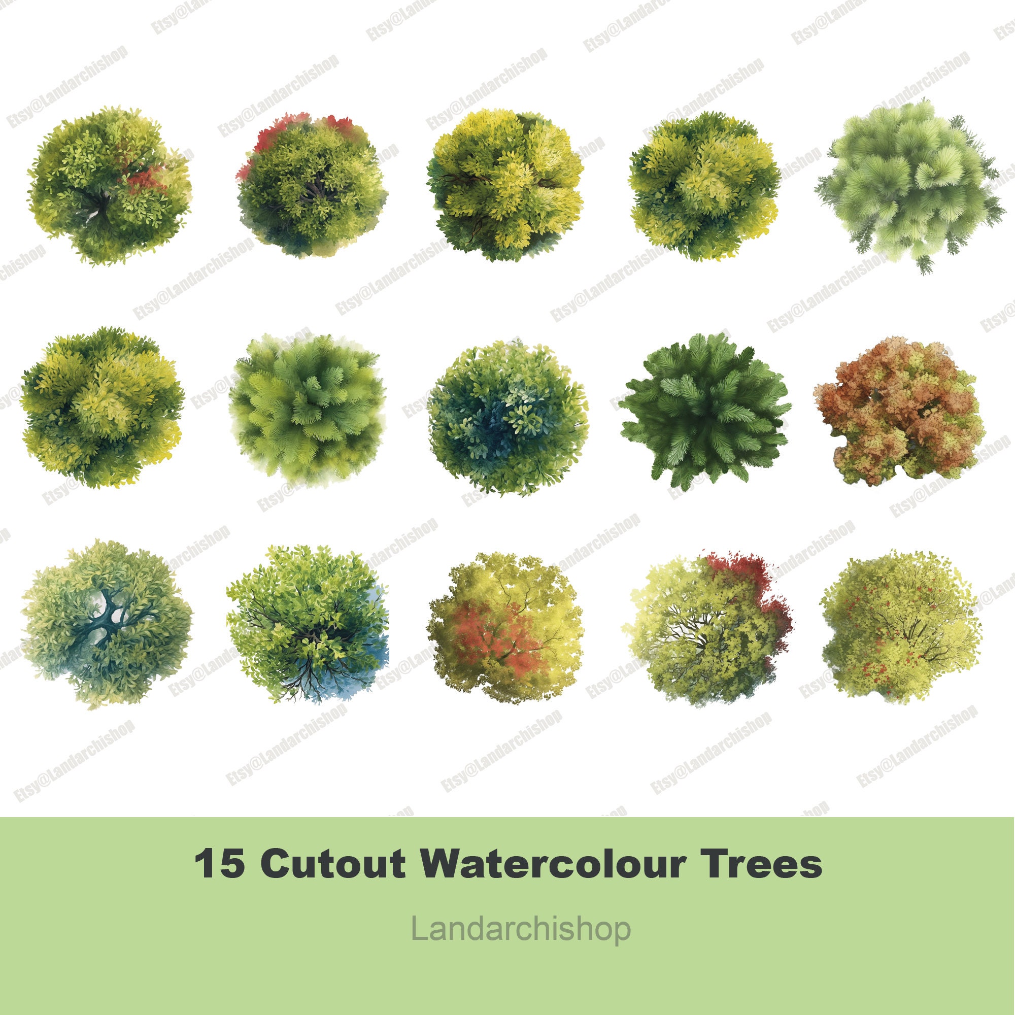 15 Watercolour Tree Top View Plan View Cutout Art, Clip Art, Landscape