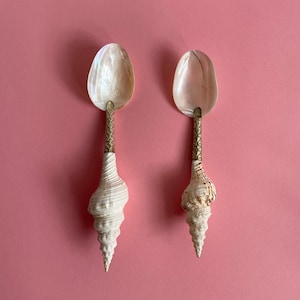 Mother of Pearl Caviar Spoon: Handcrafted Seashell Dessert Serving