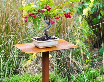 Soporte para plantas, soporte para flores, mesa con enchufe de metal para bonsái