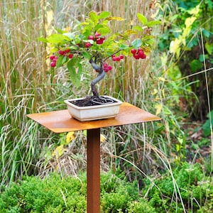 Pflanzenständer Blumenständer Bonsai Metall Stecktisch Bild 1