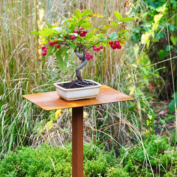 Pflanzenständer Blumenständer Bonsai Metall Stecktisch