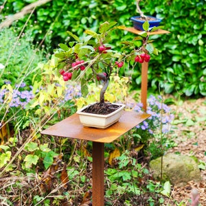 Pflanzenständer Blumenständer Bonsai Metall Stecktisch Bild 3