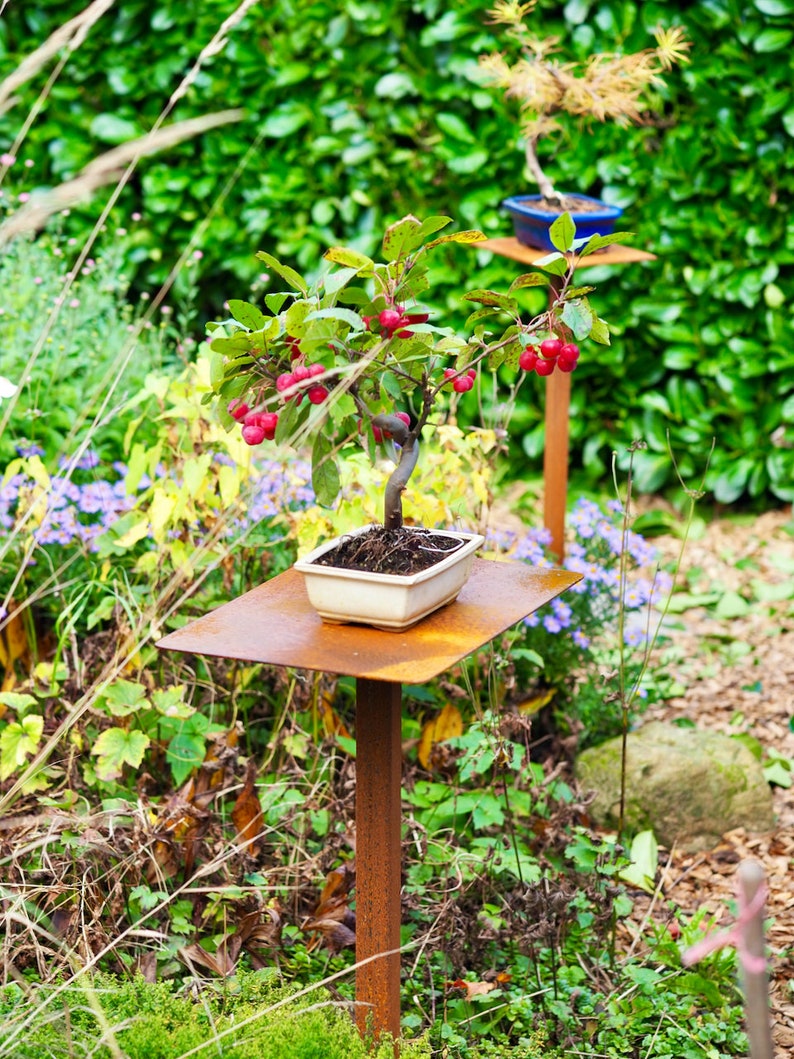 Pflanzenständer Blumenständer Bonsai Metall Stecktisch Bild 3