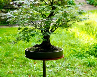 Support pour plantes, support pour fleurs, bonsaï, table à prise métallique