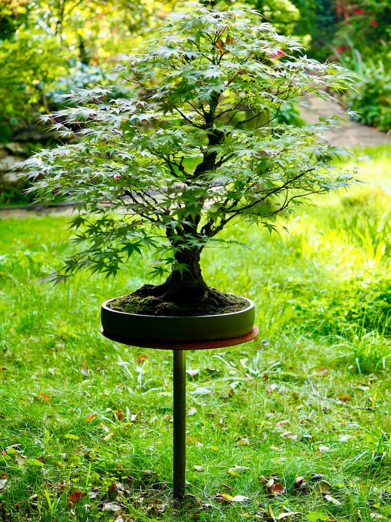 Support pour plantes, support pour fleurs, bonsaï, table à prise métallique image 5