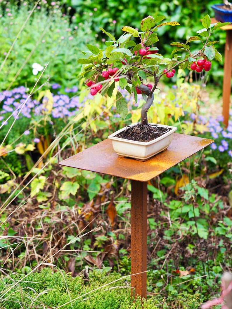 Pflanzenständer Blumenständer Bonsai Metall Stecktisch Bild 4