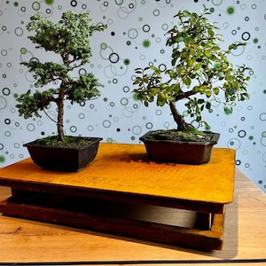 VICKY YAO Bonsai finti Opera d'arte bonsai finti con supporto in