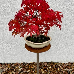 Corten steel - plant stand flower stand bonsai stand bonsai metal - Corten steel
