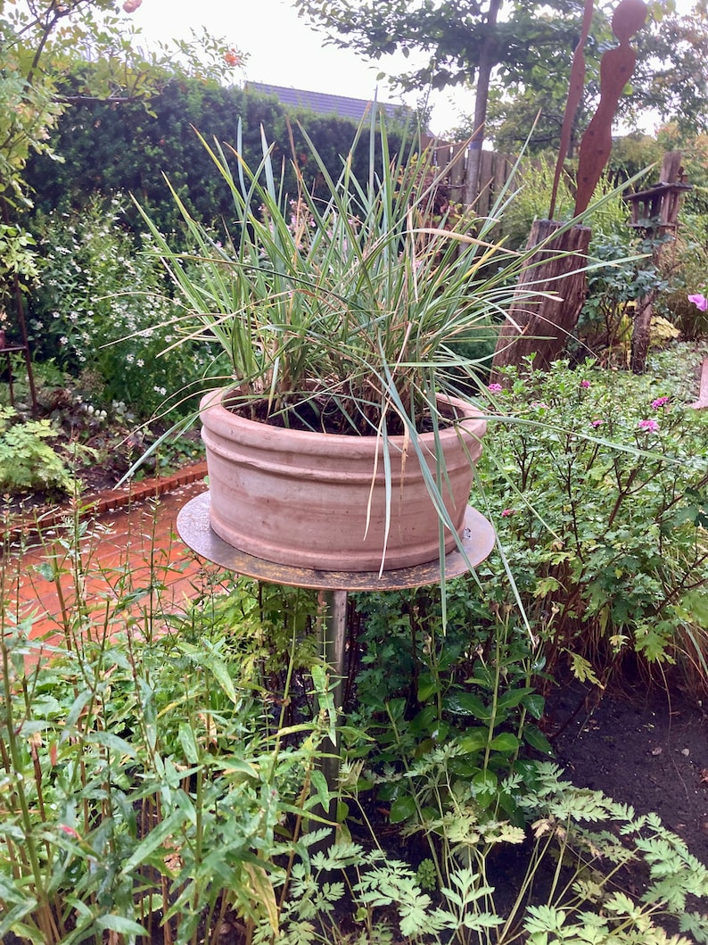 Support pour plantes, support pour fleurs, bonsaï, table à prise métallique image 9