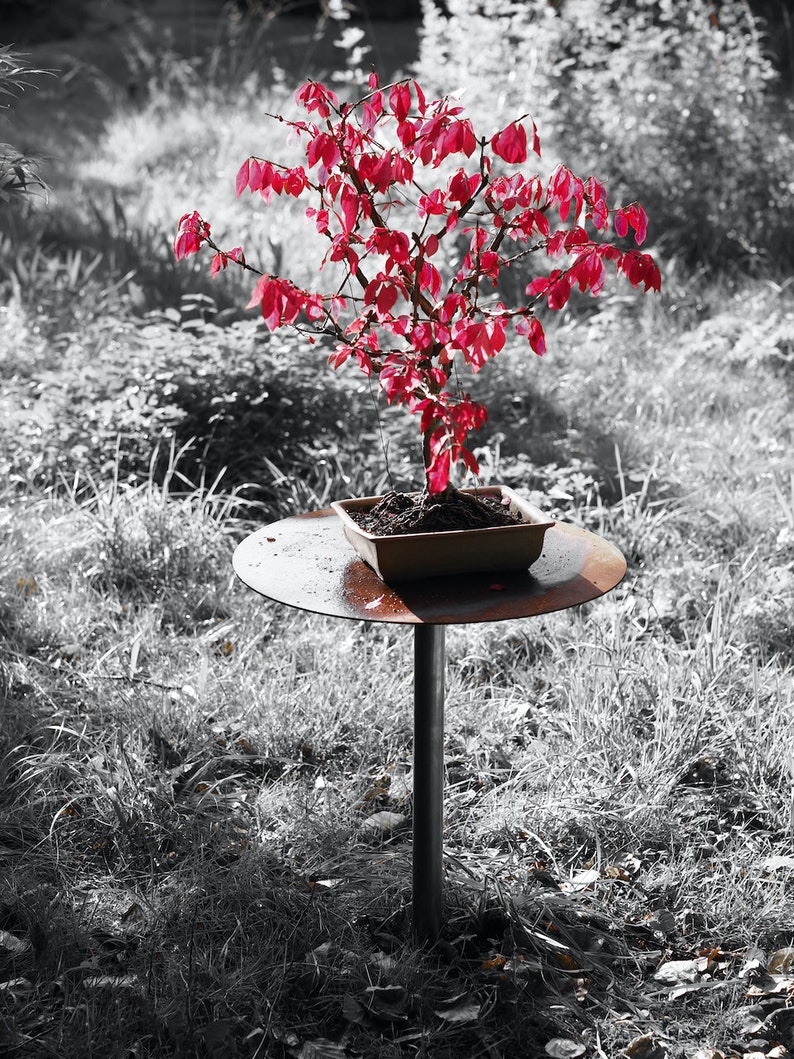 Support pour plantes, support pour fleurs, bonsaï, table à prise métallique image 7