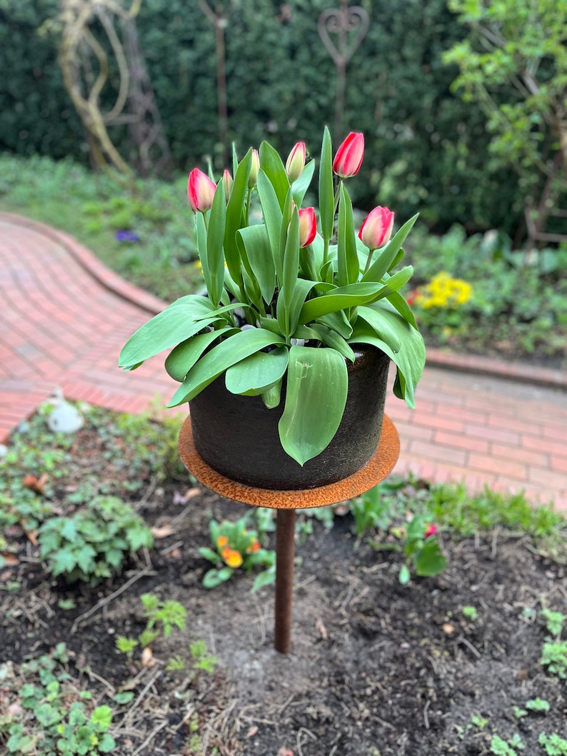 Support pour plantes, support pour fleurs, bonsaï, table à prise métallique image 1