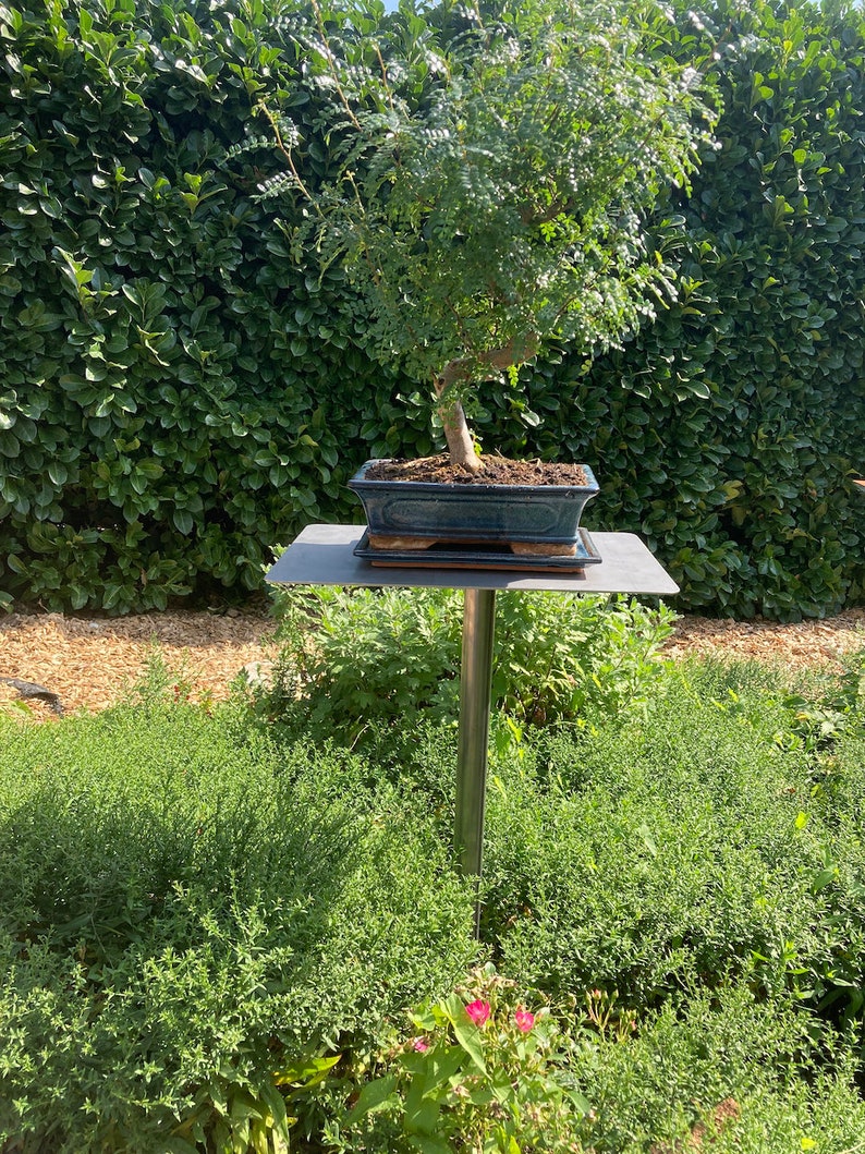 Pflanzenständer Blumenständer Bonsai Metall Stecktisch Bild 7