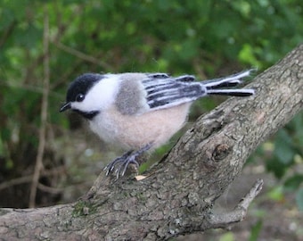 Needle felted bird, Chickadee bird sculpture, life size bird sculpture, garden bird miniature, bird ornament, bird home decor