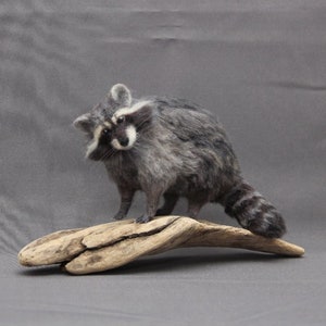 Nadel gefilzte Waschbär Skulptur, individuelle Waschbär Skulptur, Nadel gefilzte Tierskulptur