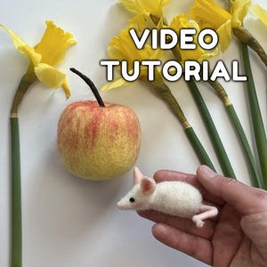 May include: A felted apple with red and yellow hues, a small white felt mouse, and yellow daffodils. The image includes the text "VIDEO TUTORIAL" in a white font. The mouse is held in a hand.