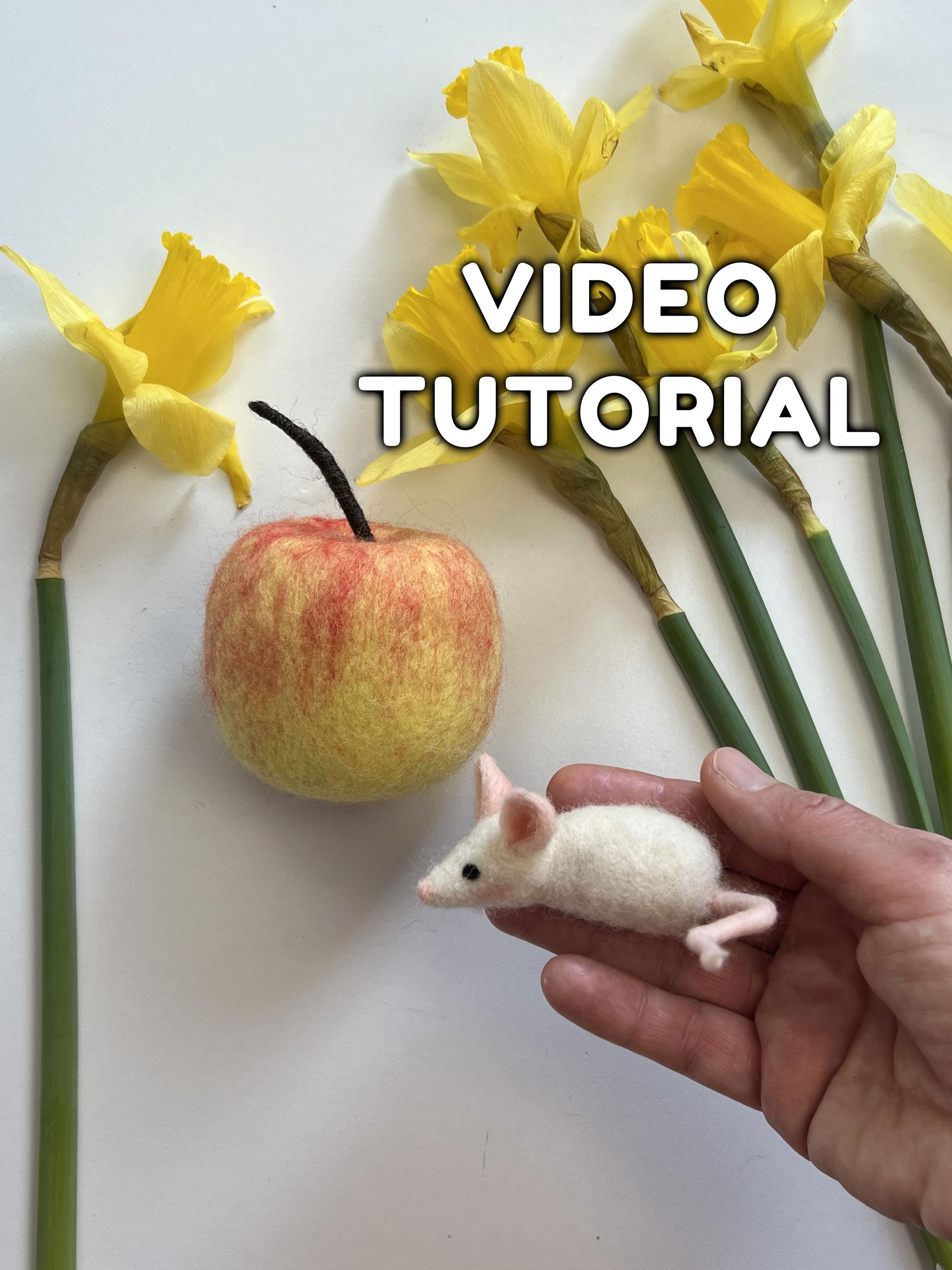 Felt Mouse Tutorial Needle Felted Mouse Video Tutorial. How to Make a Mouse From Wool DIY ...