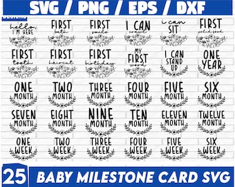 Baby milestone card svg bundle, Floral Baby Milestone SVG Bundle: Monthly Announcements, baby milestone svg, hello world svg