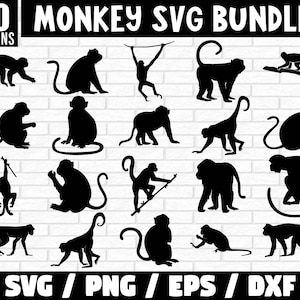 Singe SVG Bundle, singe svg, singes svg, silhouette de singe, clipart de singe, svg animal de la jungle, vecteur de singe, Gorilla SVG
