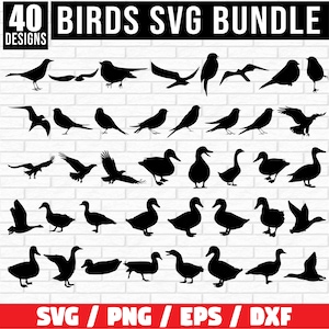 Bundle Svg oiseau, Svg oiseaux, svg oiseau volant, clipart oiseaux. Oiseau Silhouette Svg, Svg Animal, oiseau Clip Art, Svg moineau, fichiers pour Cricut