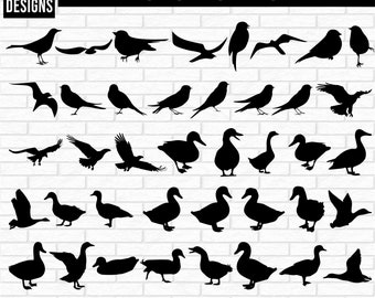 Bird Svg Bundle, Birds Svg, Flying Bird svg, Birds clipart. Bird Silhouette Svg, Animal Svg, Bird Clip Art, Sparrow Svg, Files for Cricut