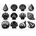Seashell SVG Bundle, Conch Shell Svg, Shell Dxfs, Print and Cut Shell ...