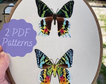 Pair of Madagascan Sunset Moth Patterns