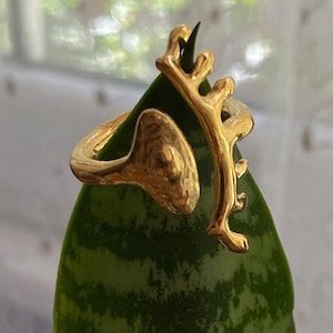 May include: A gold-colored ring with an organic, branch-like design. The ring is wrapped around a green leaf with a dark green pattern. The ring's design features a textured, rounded element and a branch-like structure.
