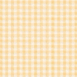 May include: A digital paper background featuring a repeating pattern of light orange and cream-colored gingham checks. The words "Reba Rose Creations" are faintly visible throughout the design, adding a subtle texture.