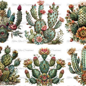 CS-12 Cactus A4 coaster rice paper