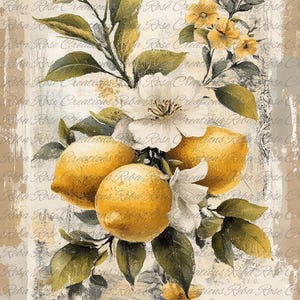 2045 Lemon Buds 2 A4 rice paper