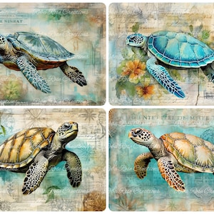 May include: Four rectangular art prints featuring watercolor illustrations of sea turtles. Each turtle has a different shell color, including green, blue, and brown. The backgrounds have a vintage map and floral design with the text "Sea of the Sinray" and "In the Isle de Muerte".