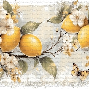 2041 Lemons and Butterflies A4 rice paper