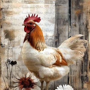 May include: A digital art print of a rooster with white and brown feathers, a red comb, and wattle. The rooster stands in front of a rustic wooden background with white daisies and dark flowers. The words "Creations Reba Rose" are in the background.