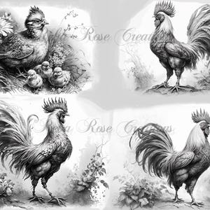 May include: Black and white illustrations of roosters and a hen with chicks. The images showcase detailed depictions of the birds, with varying poses and compositions. Floral and natural elements are incorporated into the artwork.