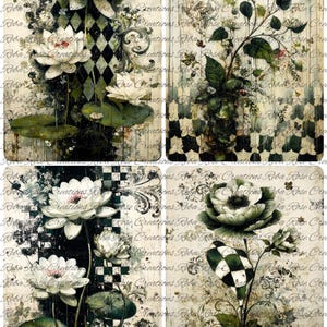 May include: A collage of four panels featuring floral art. The artwork showcases white lotus flowers, green lily pads, and checkered patterns in black and white. The background has a vintage, distressed look with floral and scroll details.