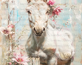 1711 White Donkey