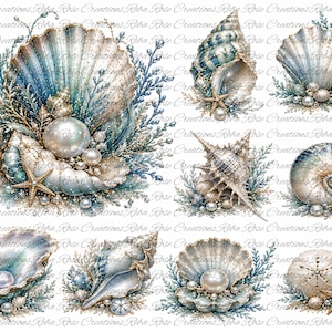 May include: A digital illustration sheet featuring various seashells, including scallops, conchs, and nautilus shells, accented with pearls, starfish, and blue coral-like sprigs. The designs are arranged in a grid pattern with a repeating watermark.