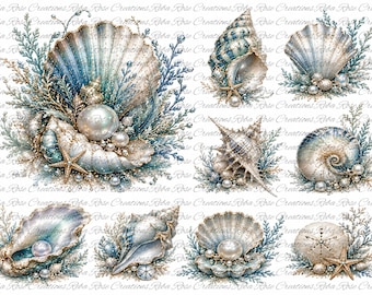 2910 Shell Designs Shells