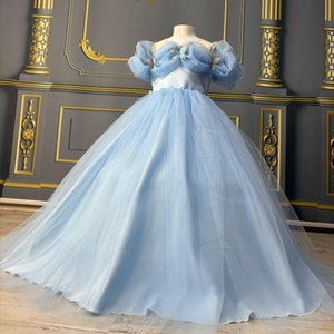 Butterfly Cinderella Costume: Toddler Princess Party Dress
