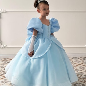 Cinderella Costume for Toddlers- Princess Dress Girls, Cinderella Cosplay, Halloween Costume, Cinderella Party Dress, Toddler Birthday Dress