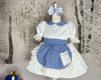 Dorothy Wizard of oz Baby Dress, Dorothy Baby Costume, Dorothy Baby Dress, First Birthday Dorothy Dress, Dorothy Costplay,1st Birthday Dress